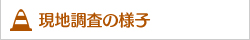 現地調査の様子