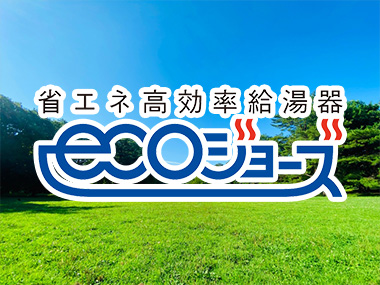 エコジョーズとは